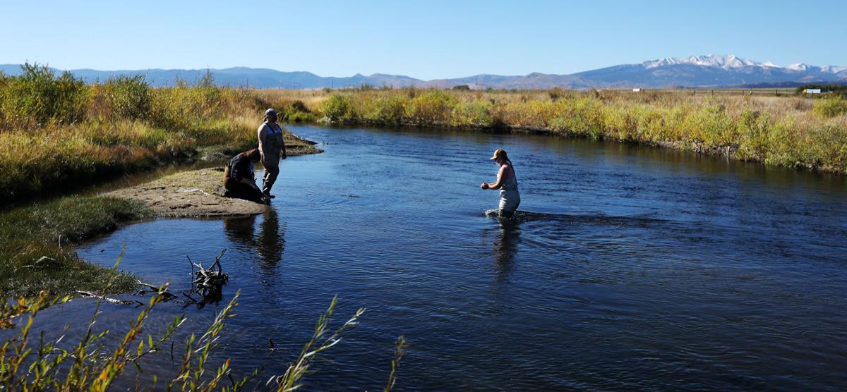 UM Western students provide valuable data in the effort to cleanup the Upper Clark Fork