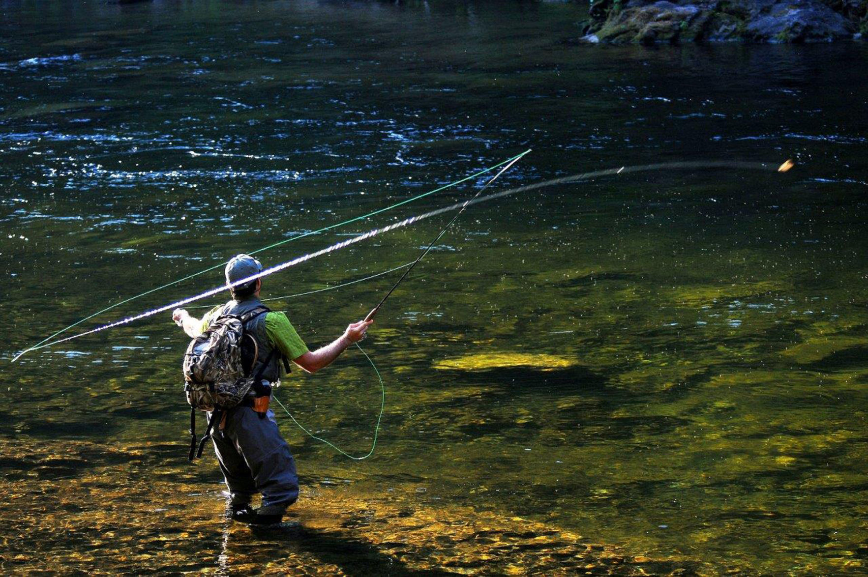 Stung in the backcountry: Fishing trip on Moose Creek turns into