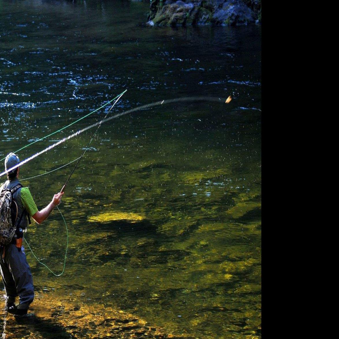 Stung In The Backcountry Fishing Trip On Moose Creek Turns Into Life Lesson Outdoors Ravallirepublic Com