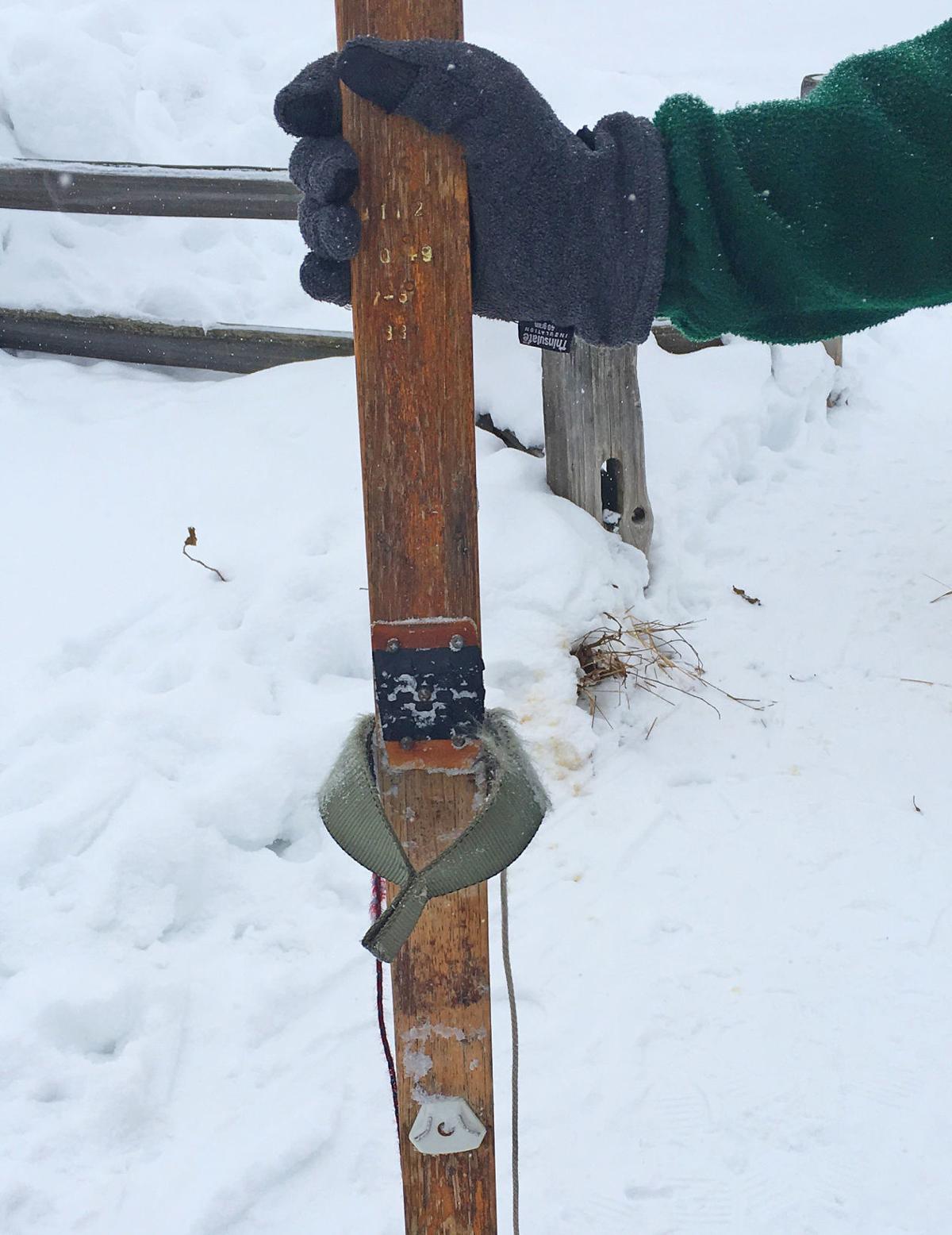 True ‘classic’ skiing WWII skis with minimalist bindings Montana