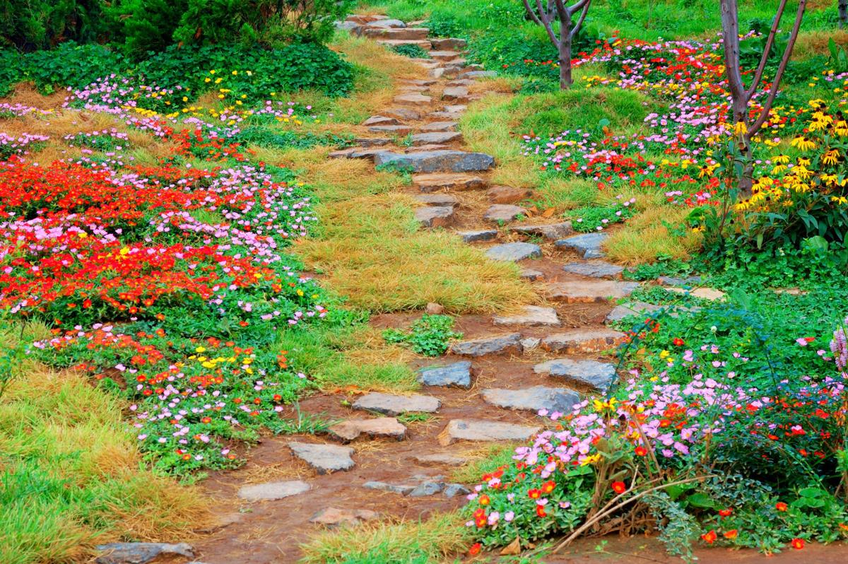 Perennial garden