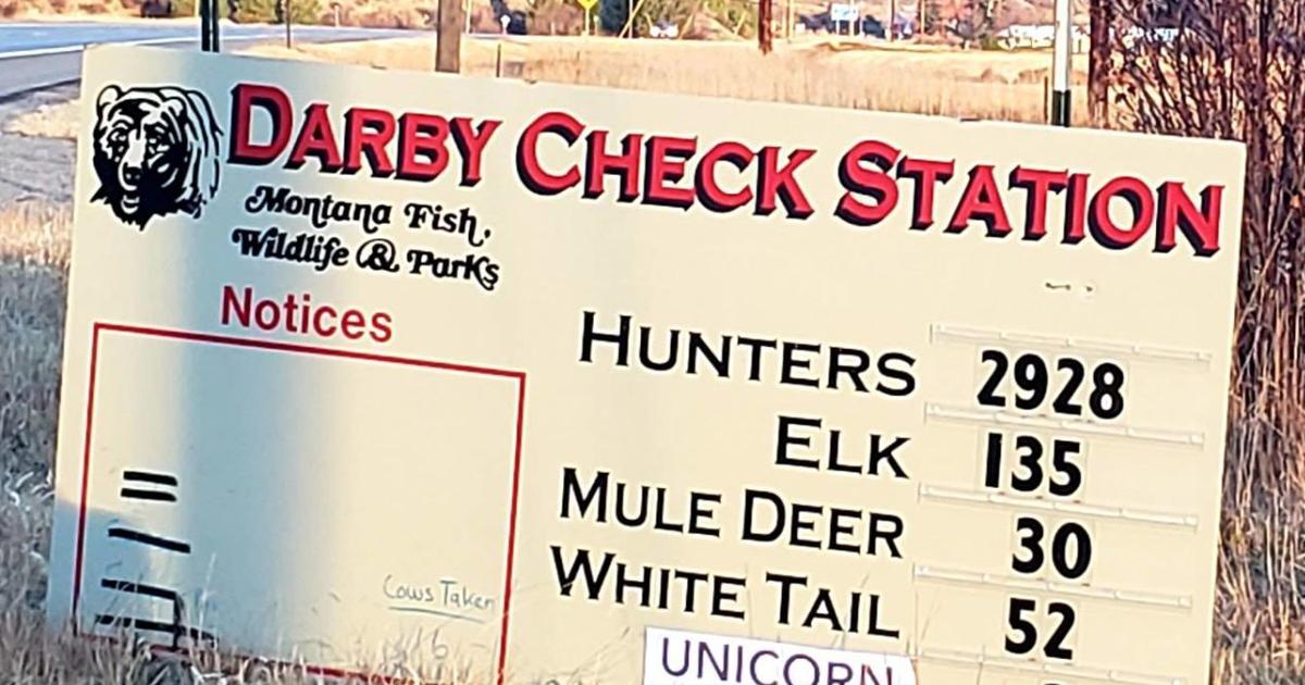 Hunting Inspection Place Darby hunter check station leads region in elk harvest