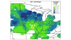 Size drives strong soybean results in 2022