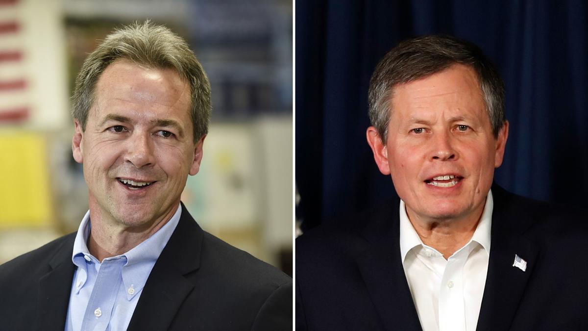 Montana U.S. Senate race