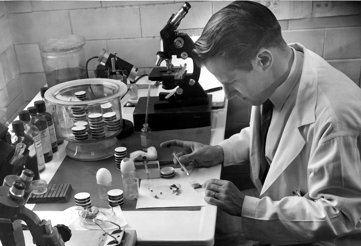 Scientist who found cause of Lyme disease dies