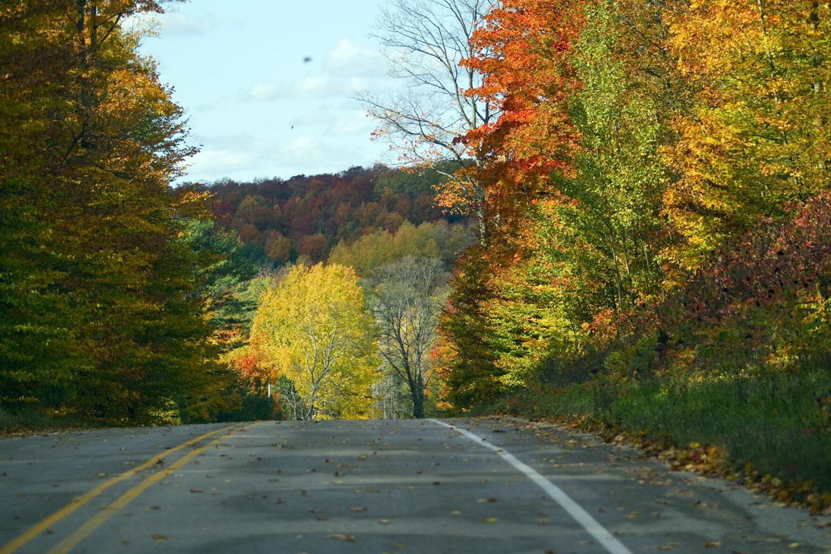 FALL COLOR
