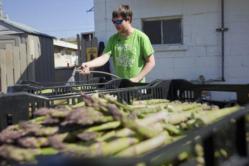 Empire Asparagus Festival 2022