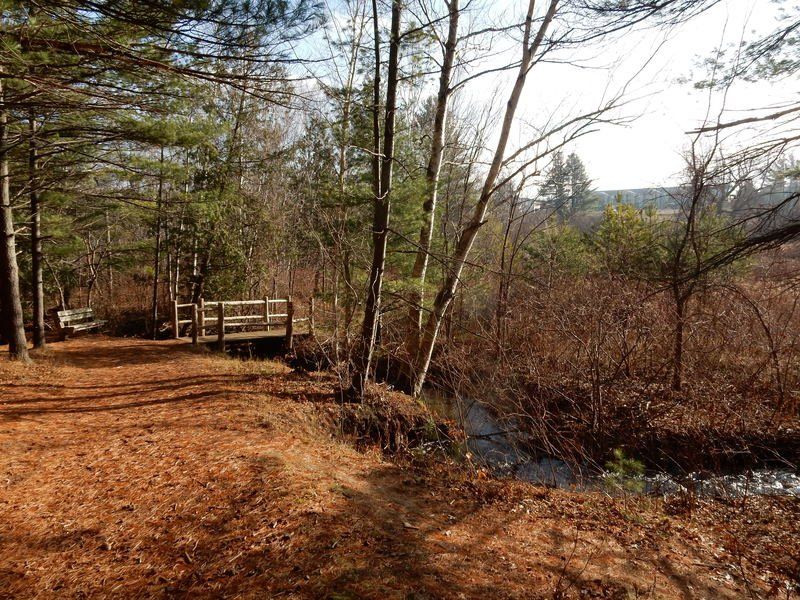 Mike Terrell Miller Creek Nature Reserve offers scenic hiking GO