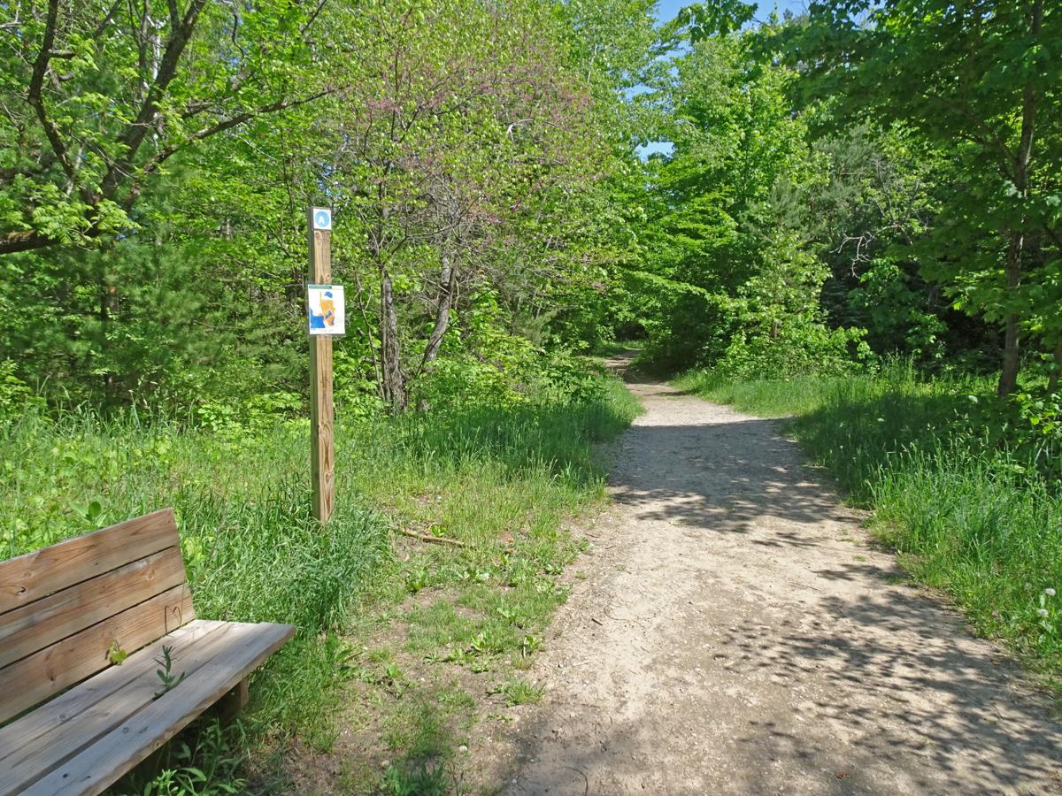 On the Trail Timbers Recreation Area offers easy, scenic hiking trails