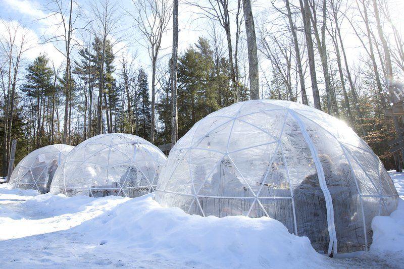 Igloos A Hot Item Hop Lot Plastic Domes Seat Eight Business Record Eagle Com
