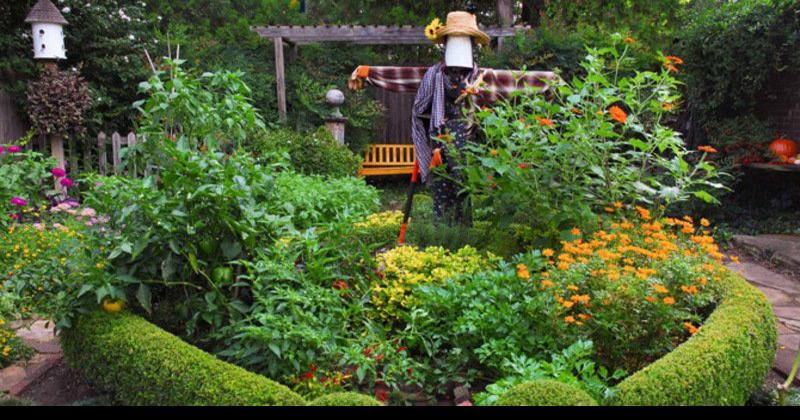 Edible Flower Gardening — Enchanted Gardens