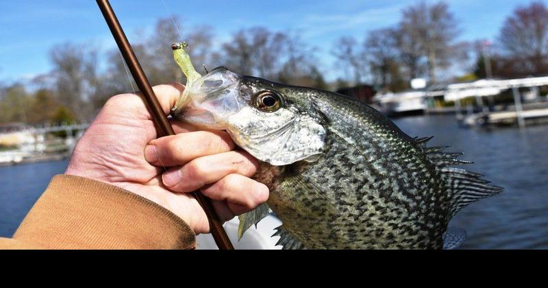 Bob Gwizdz: Crappie fishing to hit peak on lake near you, Local News