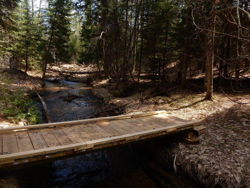 Mike Terrell A Hike Through The Valley Of Giants Go Record Eagle Com