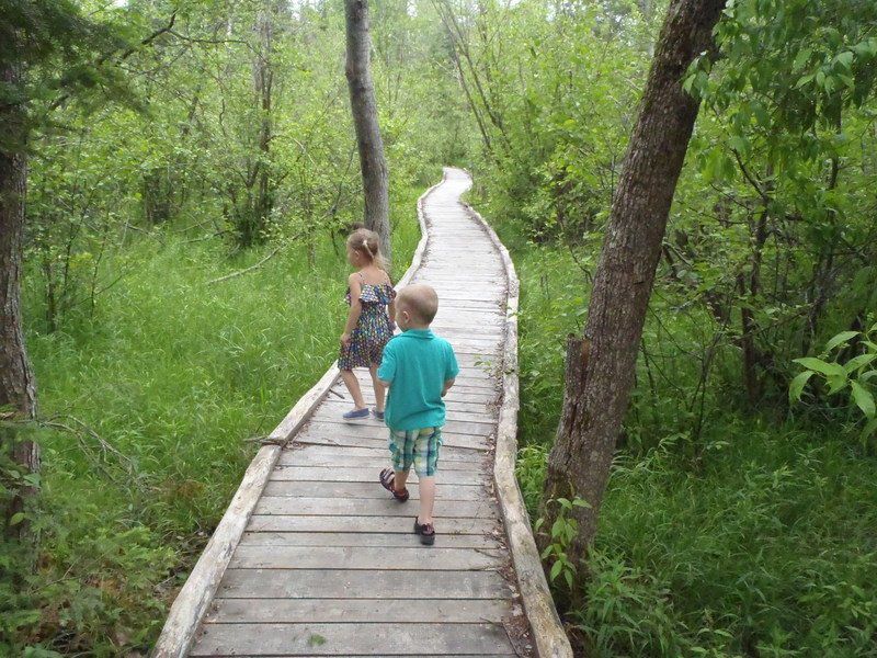 On the trail Brown Bridge Quiet Area GO