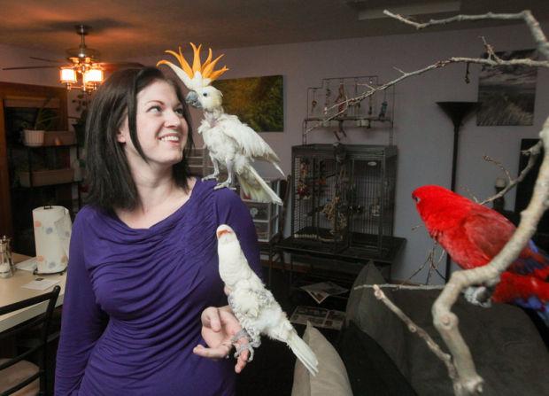 Couple Operates Rescue Center For Exotic Birds Local News Record Eagle Com