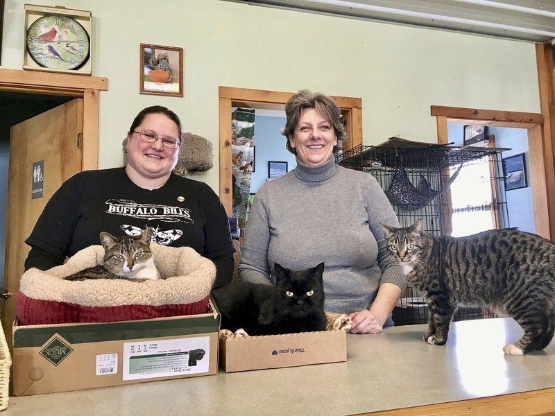 Neuter And Release Rescuers Aim To Decrease Leelanau S Feral