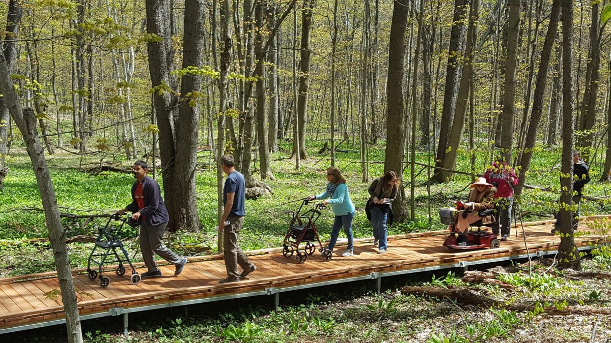 Forest bathing practice calls for stillness in nature GO record