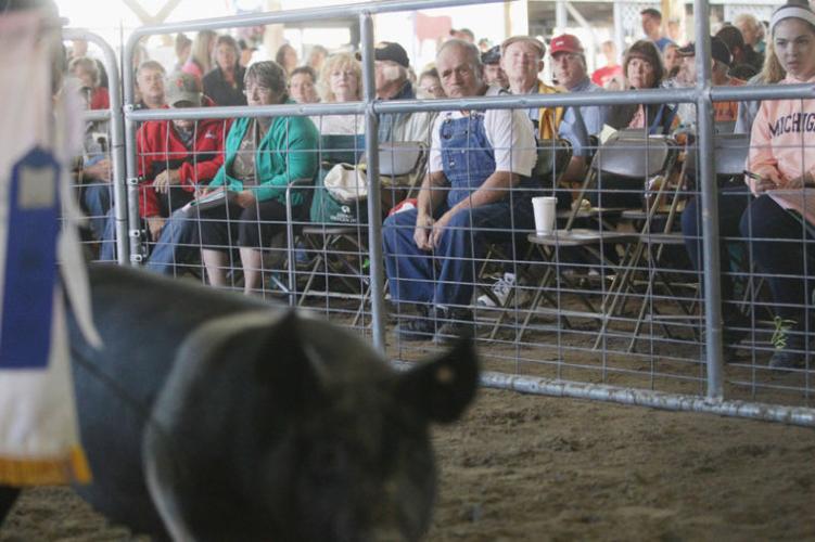 4-H auction at fair held deeper meaning | Archives 