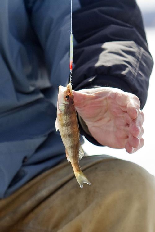 ICE FISHING