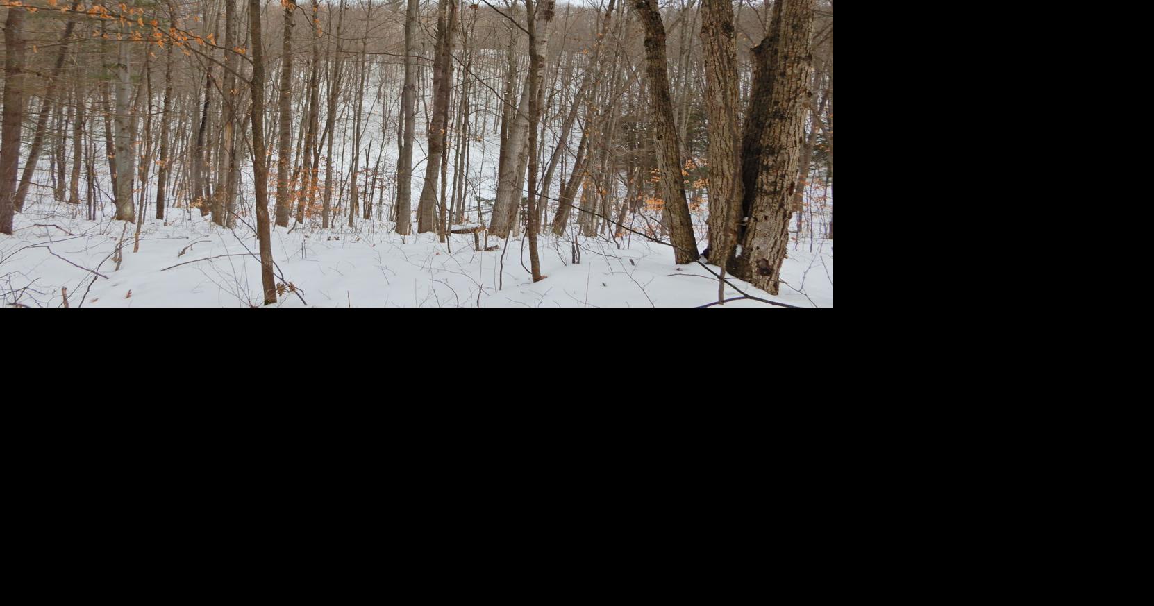 On the Trails East Bay's Killingsworth Park offers short scenic winter