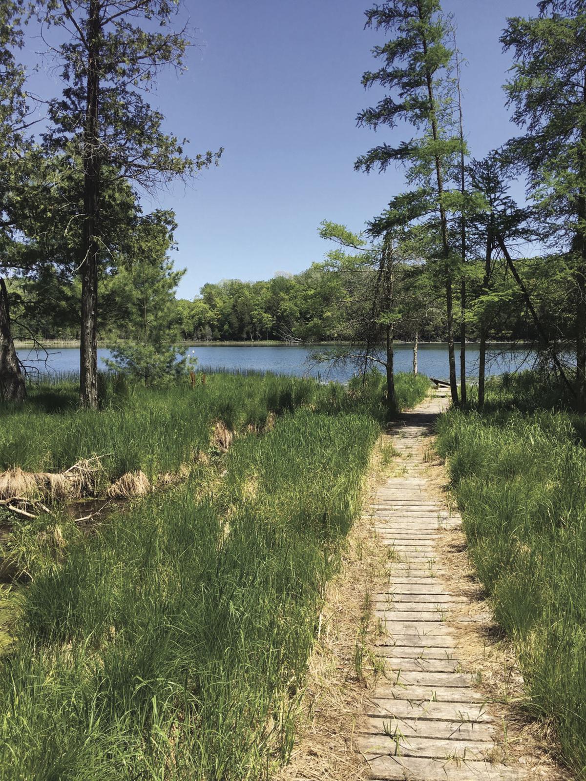 Lower Woodcock Lake set to preserve GO