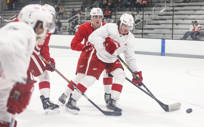 A close-up look at the Grand Rapids Griffins training camp roster