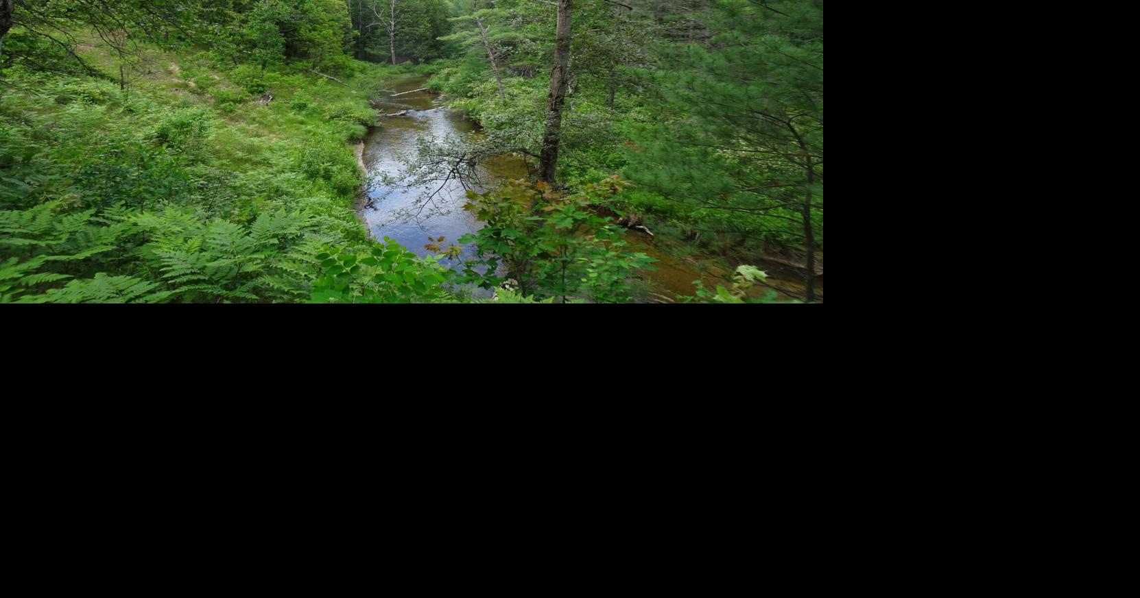 On the Trail North Country Trail Supply to Broomhead Road a scenic
