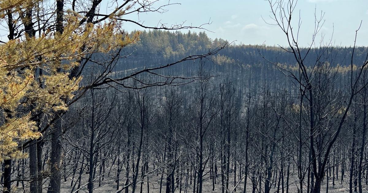 Areas reopen around Grayling fire, now more than 90 percent contained