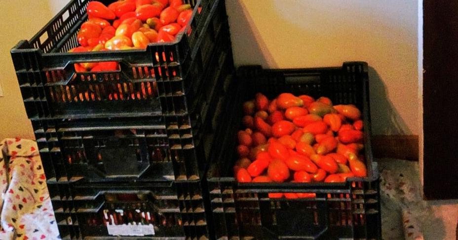 From the Farmer: That's not waste on the ground