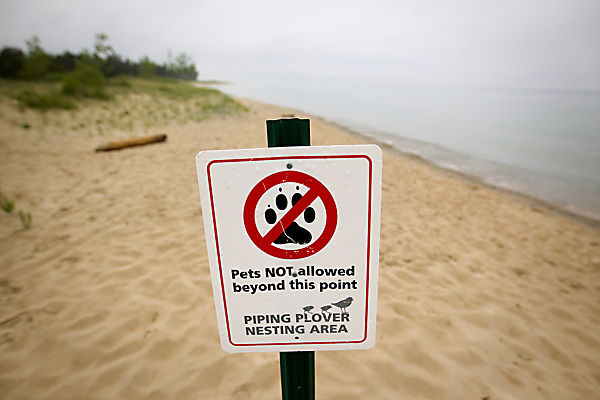 BARK Ranger - Friends of Sleeping Bear Dunes