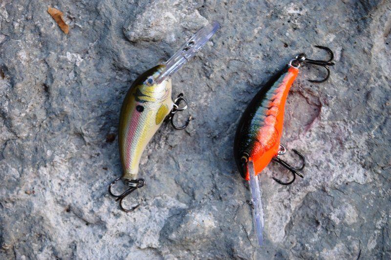 Gwizdz's Gadgets and Gear: Shad Dancer - Traverse City Record Eagle