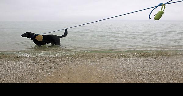 BARK Ranger - Friends of Sleeping Bear Dunes