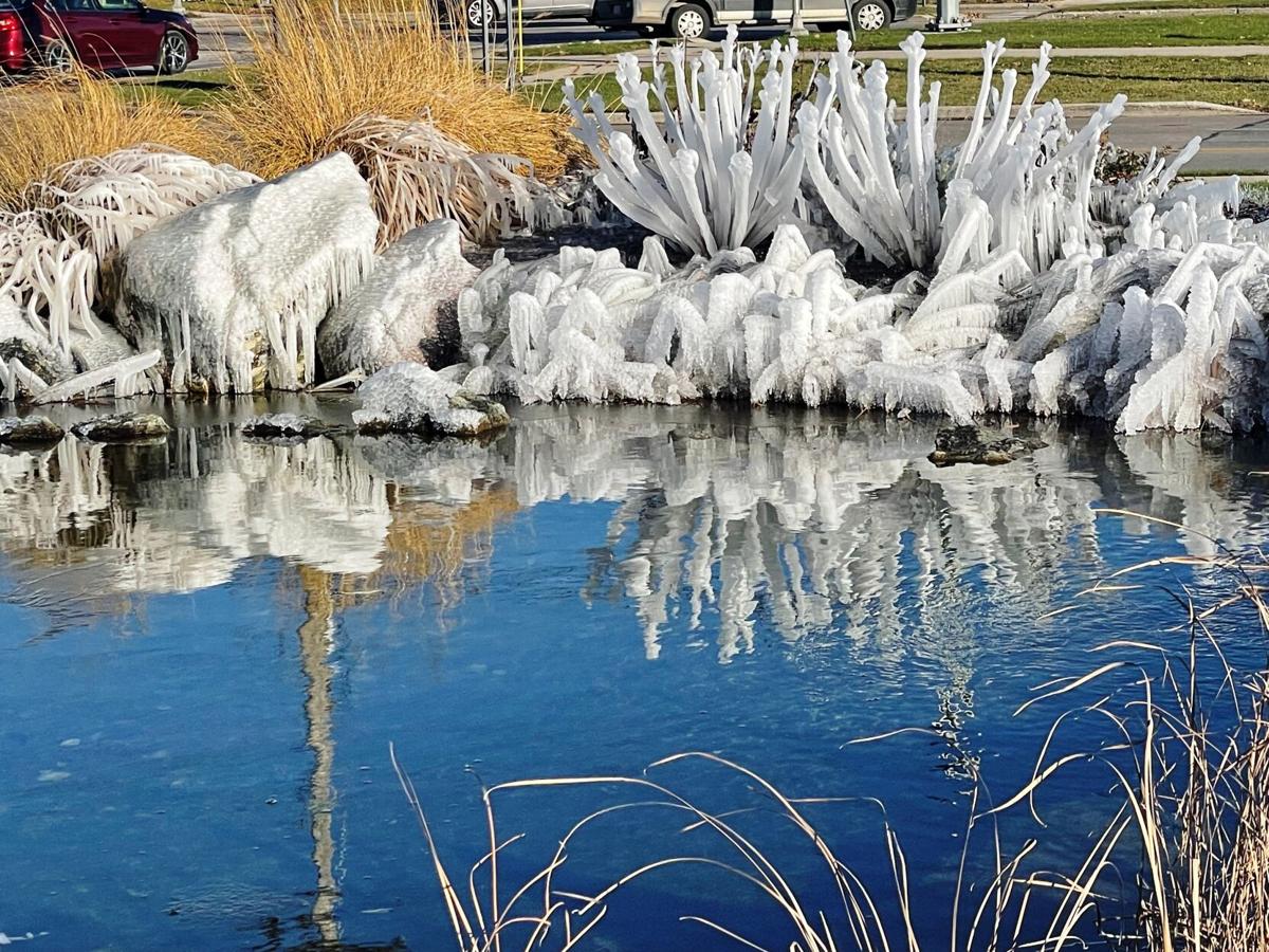goeyes011322Jack Frost comes to TC before Thanksgiving. Photo by Megannne McArdle.jpg