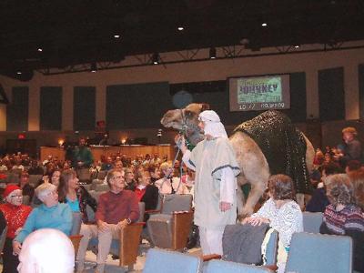 Camel Comes To Traverse City Area Church Archives Record Eagle Com