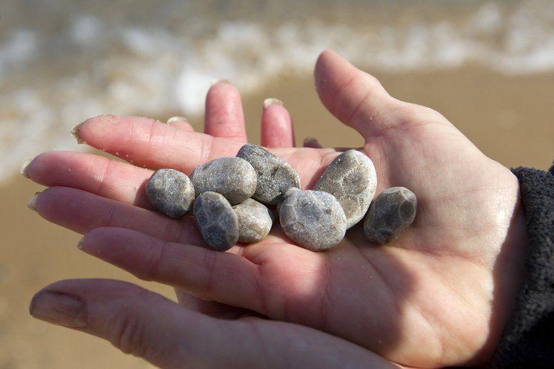 Mind The Find Petoskey Stone Picking Comes With 25 Pound Limit Go Record Eagle Com