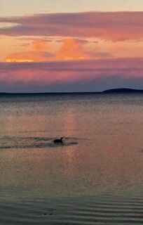 goeyes011322 A November evening on Grand Traverse Bay. Photo by Janice Cleland.jpg