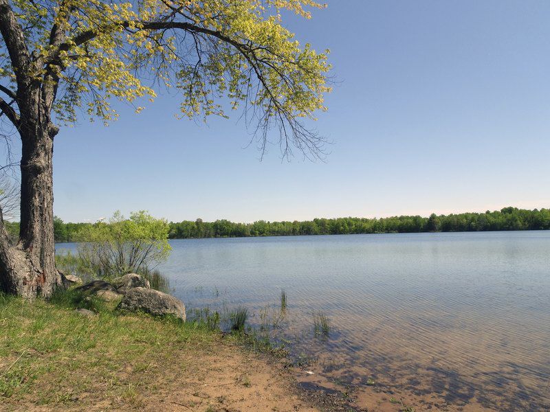 On the Trail New Maplehurst Natural Area a gem in the making GO