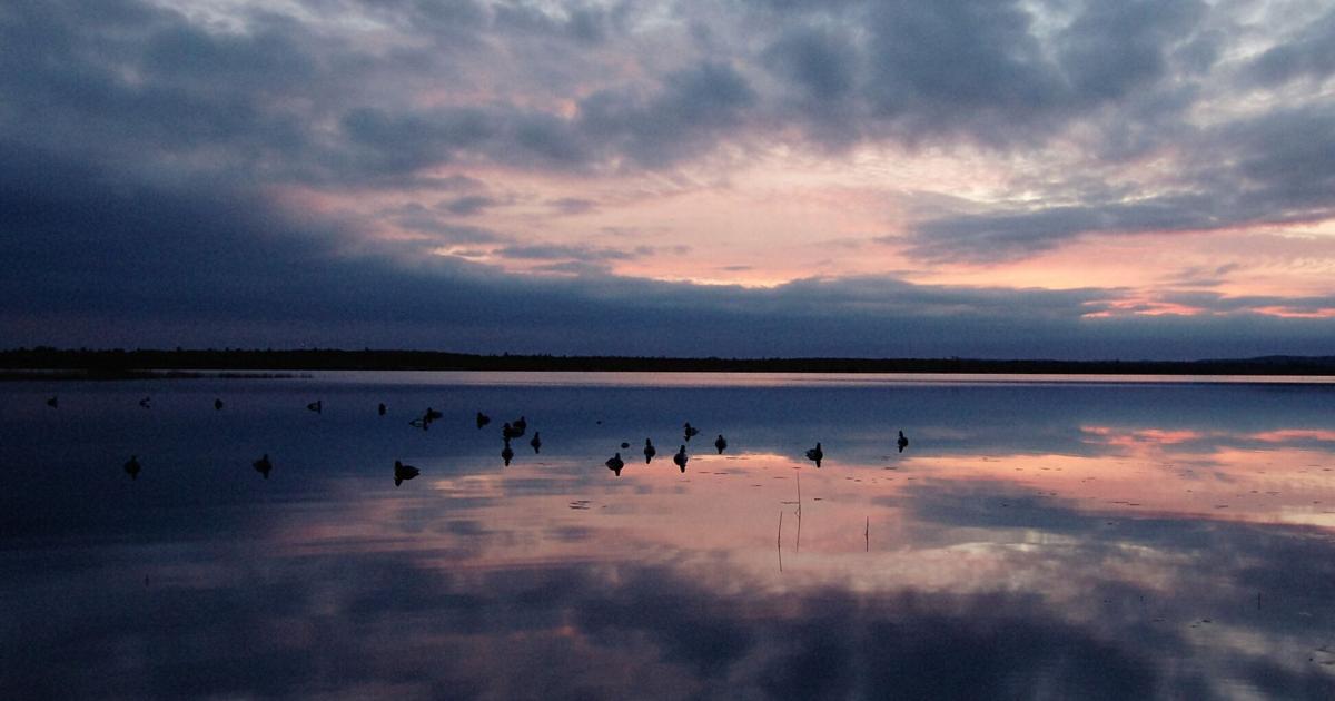Christopher Smth: Get your ducks in a row | GO | record-eagle.com