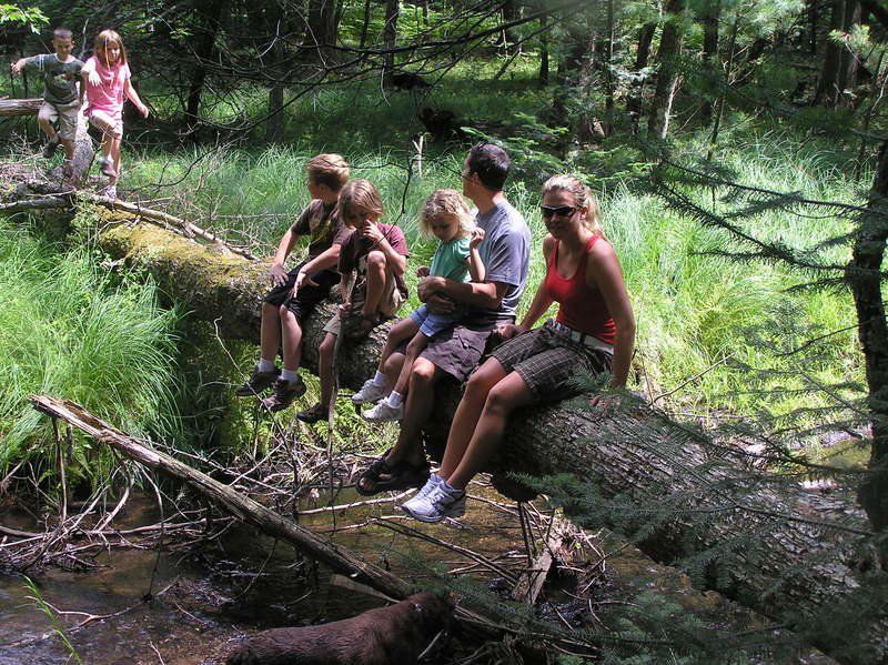 Mike Terrell A Hike Through The Valley Of Giants Go Record Eagle Com