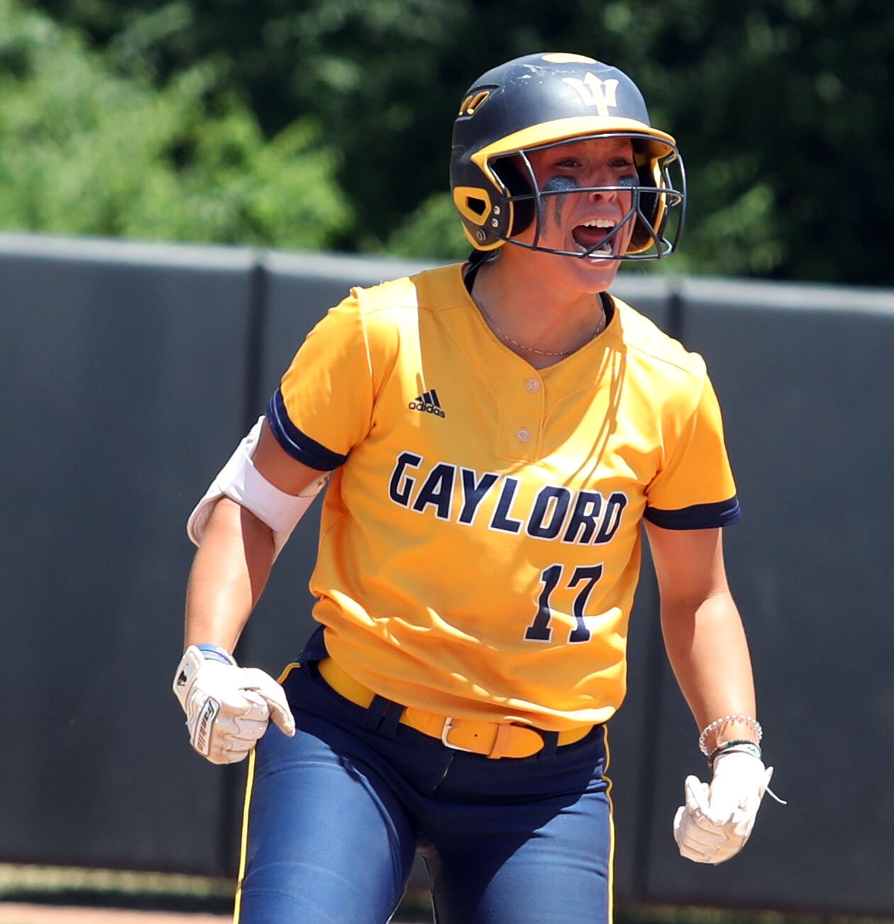 Gaylord Secures 2nd Consecutive State Softball Title in 8-Inning Showstopper vs. Vicksburg 3-2