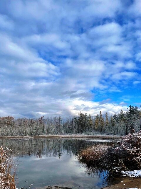 goeyes011322Ellis Lake after snowfall. Photo by Sue Swift.jpeg