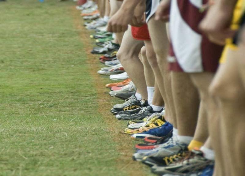 Michigan Cross Country Rankings Local Sports Record Eagle Com