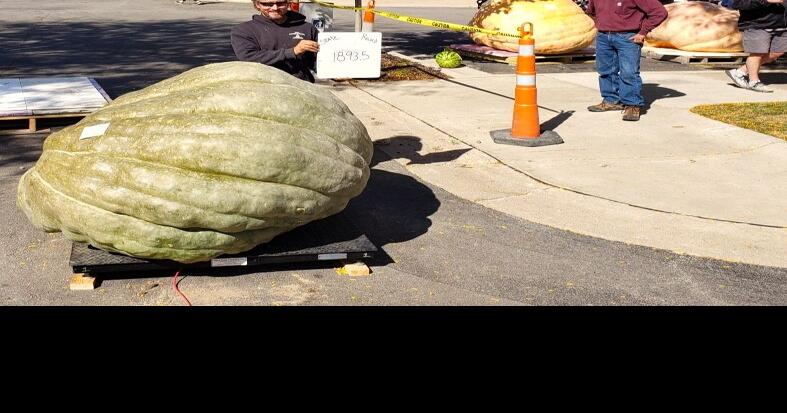 Go big or gourd home: 9 Bean Rows owner squashes competition