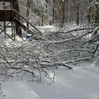 Surviving storm damage, Beaver Island Music Festival roars back this week