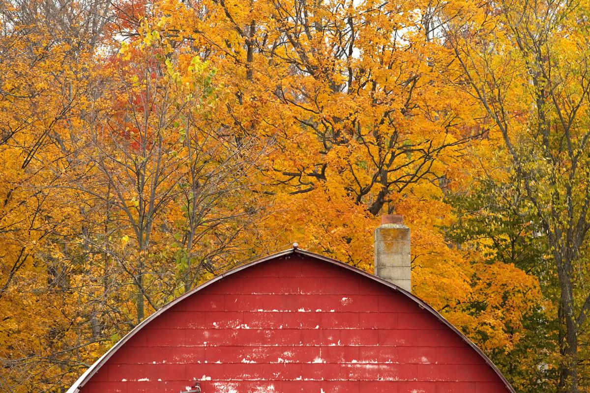 FALL COLOR