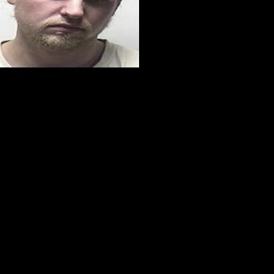 Man pleads in animal abuse, assault case | Local News | record-eagle.com
