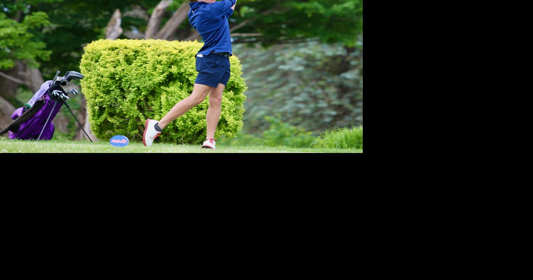 St. Francis, Elk Rapids' Vollmer lead Division 3 boys golf state finals ...