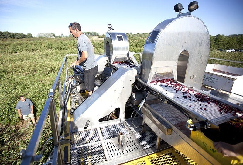 dawson v cherry tree machine future of farming the row cherry harvester at station business record eagle dawson v cherry tree machine future of farming the row cherry harvester at station business record eagle