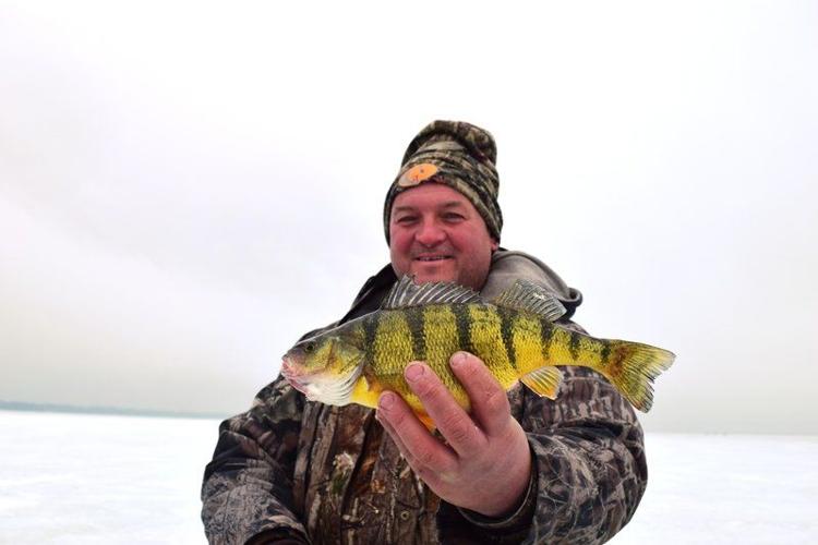 Georgia Angler Catches Giant, Almost-Record Yellow Perch