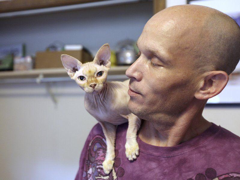 Couple Breeds Hairless Cats The Biz Record Eagle Com